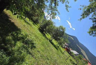 Casă cu 5 camere cu Teren 2800 Mp în Central