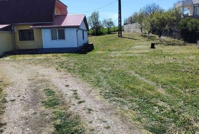 Teren de 6000 mp, în Hereclean - 2