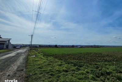 Teren de 252 mp, în Valu lui Traian - 4