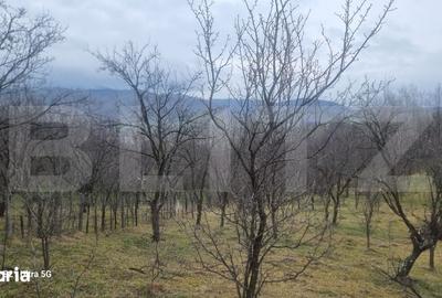 Teren de 3781 mp, în Izvoarele - 15
