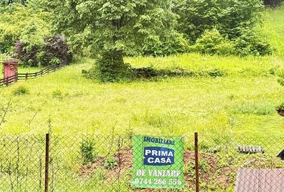 Teren Construcții intravilan de 6200 mp, în Tăuții-Măgherăuș - 1