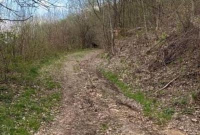 Teren Construcții extravilan de 3950 mp, în Mărișel - 5
