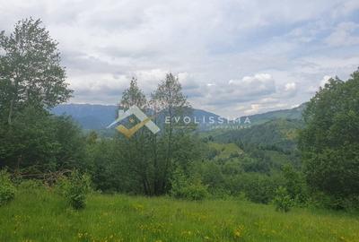 Teren Construcții intravilan de 11396 mp, în Moieciu de Jos - 3