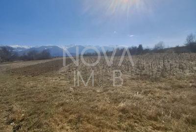 Teren de 2100 mp, în Central