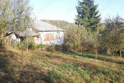 Casă cu 3 camere cu Teren 25000 Mp în Călinești - 4