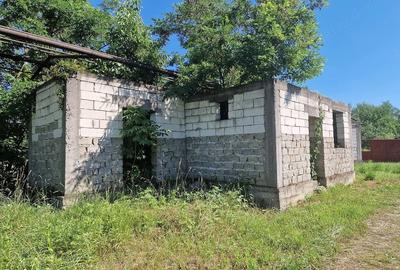 Teren de 7075 mp, în Bârsa - 1