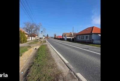 Casă cu 3 camere cu Teren 4041 Mp în Roșiori - 8