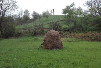 Teren de 2798 mp, în Sârbi - 8