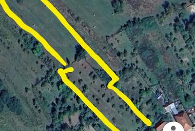 Casă cu 3 camere cu Teren 3000 Mp în Vărzari - 1