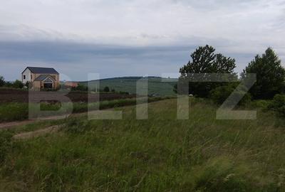 Teren Construcții intravilan de 500 mp, în Valea Lupului
