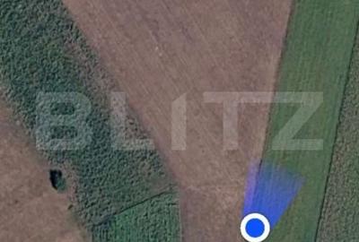 Teren de 3900 mp, în Burdujeni
