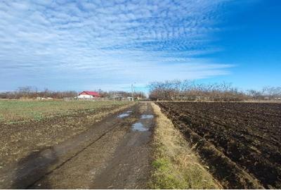 Teren agricol intravilan de 3500 mp, în Dragoș Vodă - 2