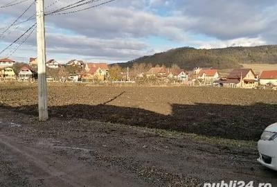 Teren de 4050 mp, în Ceuaș - 1
