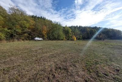 Teren de 1083 mp, în Cladova - 2