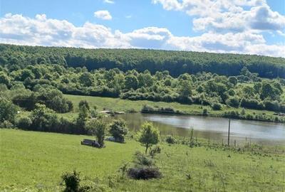 Teren agricol extravilan de 550 mp, în Sadu - 2