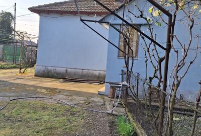 Casă cu 3 camere în Central