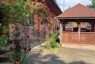 Casă individuală cu 10 camere cu Garaj în Gura Văii - 1