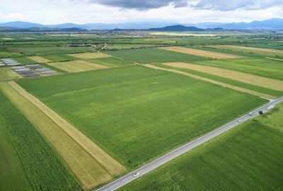 Teren Construcții intravilan de 59600 mp, în Feldioara - 1