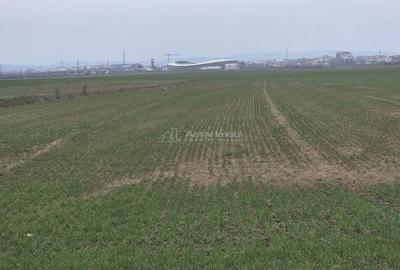 Teren de 7900 mp, în Ulmi - 7