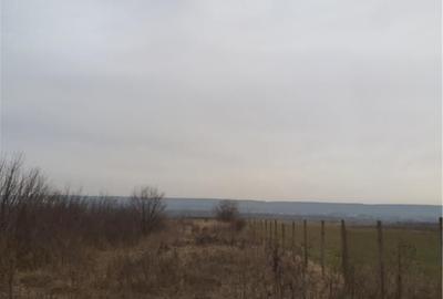 Teren de 2986 mp, în Micești - 4