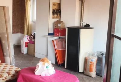 Casă cu 5 camere cu Teren 8900 Mp în Pătroaia-Deal - 6