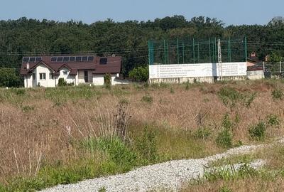 Teren de 1000 mp, în Brănești - 6