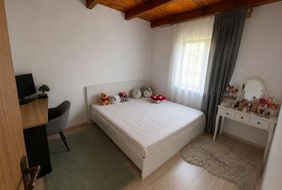 Casă individuală cu 2 camere cu Canalizare în Benic - 2