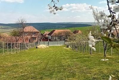 Teren de 1100 mp, în Dobrești - 2