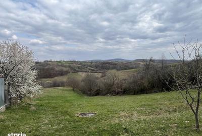 Teren de 5000 mp, în Copăcel - 2