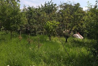 Casă cu 2 camere cu Teren 480 Mp în Turda - 1