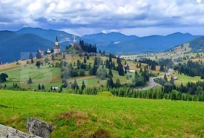 Teren de 3936 mp, în Piatra - 2