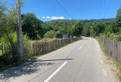 Teren de 2361 mp, în Valea Doftanei - 3
