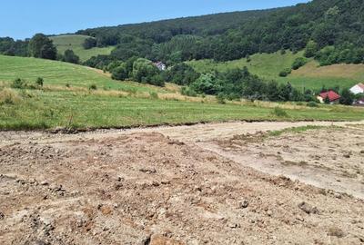 Teren Construcții intravilan de 1000 mp, în Vâlcele - 3