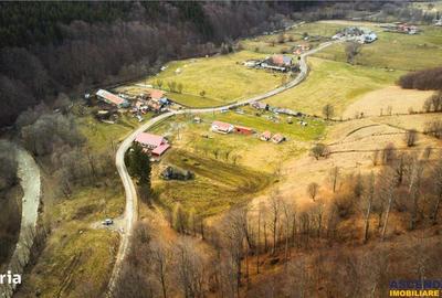 Teren de 5425 mp, în Vama Buzăului - 10