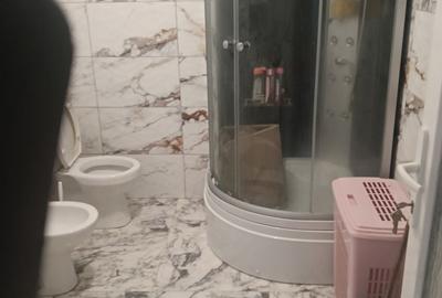 Casă cu 2 camere în Medieșu Aurit