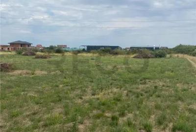 Teren de 3373 mp, în Cihei - 3