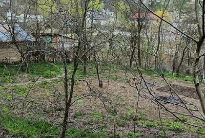 Teren de 4660 mp, în Bozioru - 1