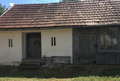 Casă cu Teren 6500 Mp în Dretea - 9