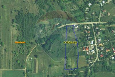 Teren Construcții intravilan de 8841 mp, în Uricani - 10