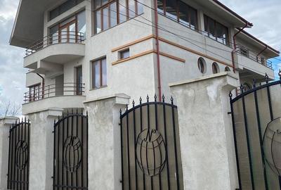 Casă cu Teren 800 Mp în Palazu Mare - 6