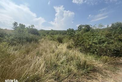 Teren de 2880 mp, în Mărăști