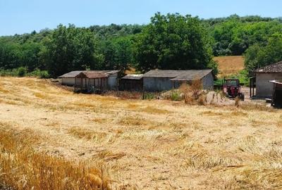 Casă cu 4 camere în Canlia - 4