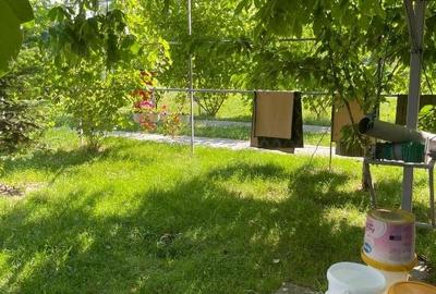 Casă individuală cu 4 camere cu Teren 2500 Mp în Făcău - 5