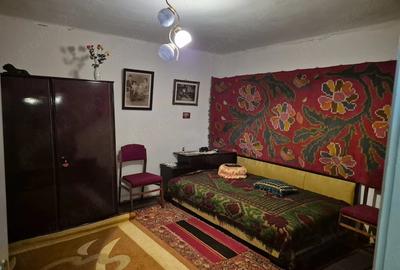 Casă cu Teren 5867 Mp în Vârlezi
