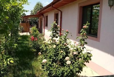Casă cu Teren 1388 Mp în Dragalina - 1