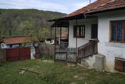 Casă cu 3 camere în Valea - 1