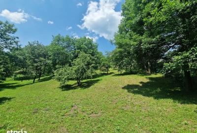 Teren de 3910 mp, în Secăriei