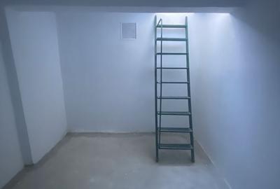 Spațiu comercial, de 47 mp, în Sârbi