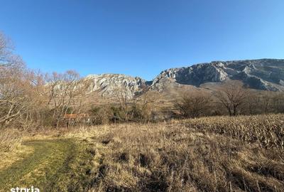 Teren de 1250 mp, în Râmeț - 2