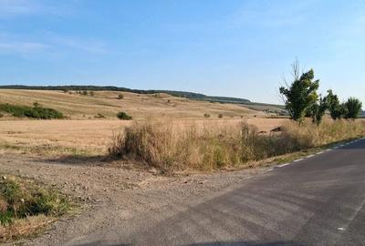 Teren de 2000 mp, în Petelea